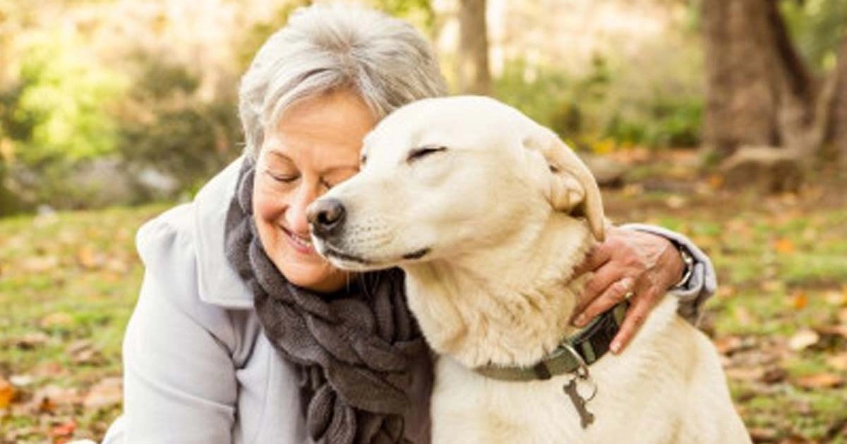 5 reasons to consider adopting a senior dog