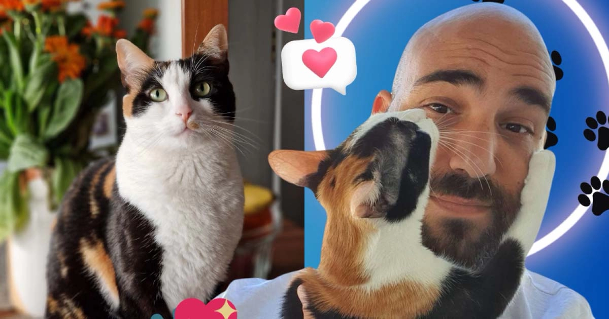 Panagiotis Karderinis: The famous infuencer introduce us her cat Korina!