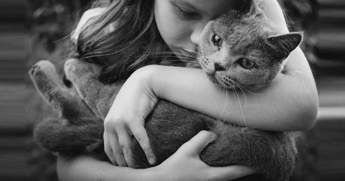 Do cats protect their owners? Facts & FAQ