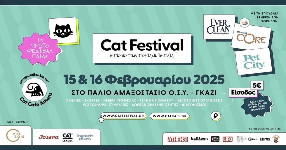 Το 1ο Cat Festival 2025: Μια γατο-μαγική εμπειρία!